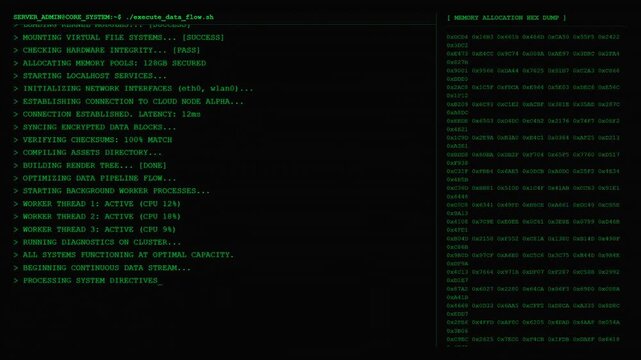 Server admin data flow execution memory hex terminal screen.