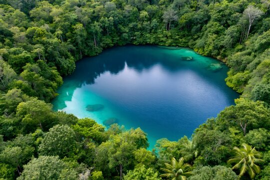Turquoise blue lake in lush tropical rainforest