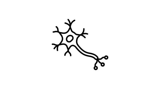 Isolated hand-drawn neuron on transparent background