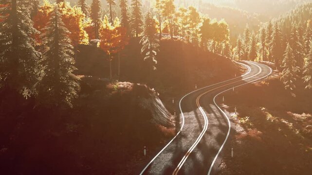A road winds through a forest with trees showing autumn colors. Sunlight filters through the branches, creating a warm glow on the scene.