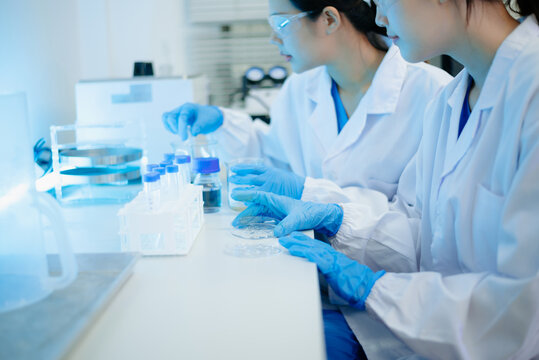 Asian female scientist holding a test tube with liquid sample during scientific research in a modern biotechnology laboratory.