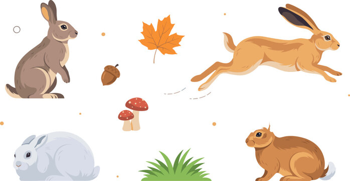 Wild Hare and Rabbit Vector Icon Set with Running Jackrabbit Cottontail Autumn Leaf Mushroom and Acorn Elements