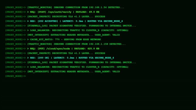 Network proxy server traffic monitoring terminal screen.