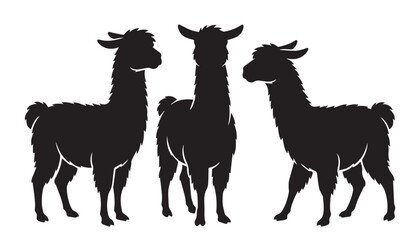 Naklejka premium black color silhouette set of three llama vector illustration, solid white background