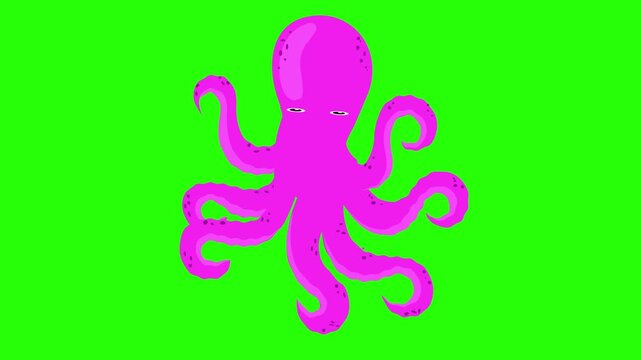 A playful 2D cartoon octopus with wavy tentacles floating against 4K stock animation video on a green screen background for chroma key background for video editing.