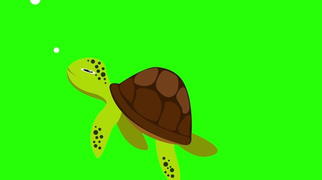 A charming 2D animated green turtle with a brown shell swimming across  against 4k stock animation video on a green screen background for chroma key background for video editing.