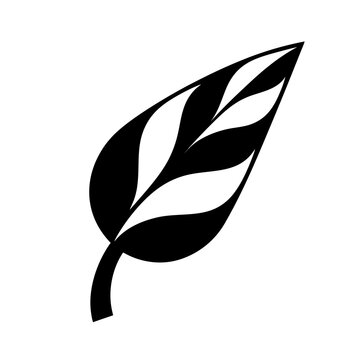 Minimalist black leaf icon, stylized botanical vector silhouette, organic foliage element for logo design and eco branding