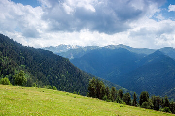 Fototapeta premium Mountain landscape with an alpine meadow