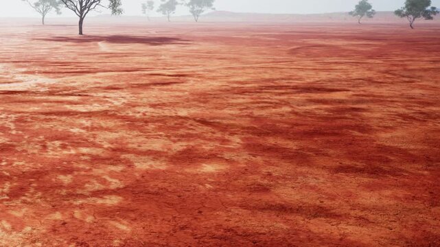 A vast area of dry land stretches out, covered with cracked earth and few trees. The scene shows a remote location with a muted sky, suggesting a lack of moisture over time.