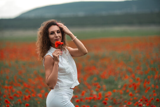 Woman poppy field attractive woman holding red poppy in beautiful summer field