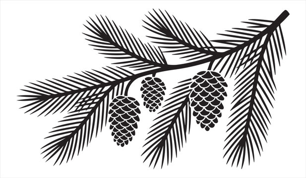Botanical pine branch with cones and needle foliage
