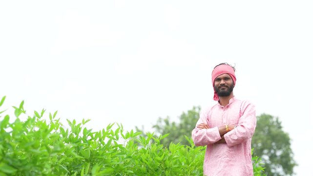 happy indian farmer standing at green pigeon pea agriculture field 