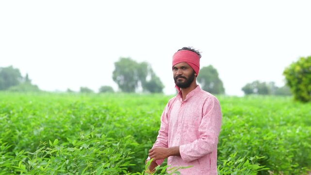 happy indian farmer standing at green pigeon pea agriculture field 