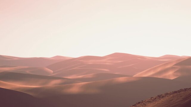 The scene shows sand dunes stretching across a desert at sunset. The light creates soft shadows, highlighting the curves of the dunes. Few plants are visible in the distance.