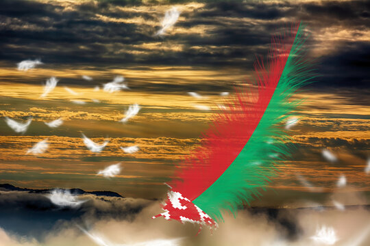 3D illustration. Flag of Belarus on a feathers fluttering in the sky background.