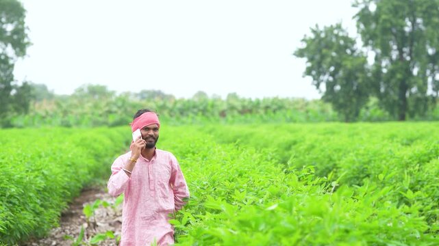 indian farmer talking on smartphone at split pigeon pea agriculture field