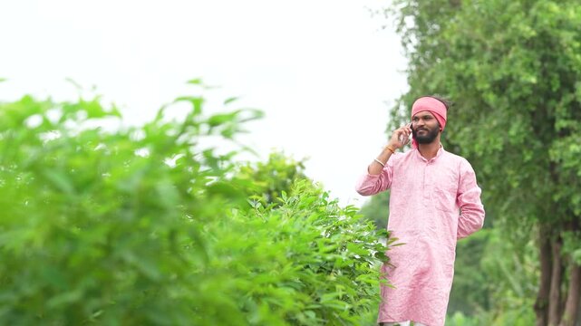 indian farmer talking on smartphone at split pigeon pea agriculture field
