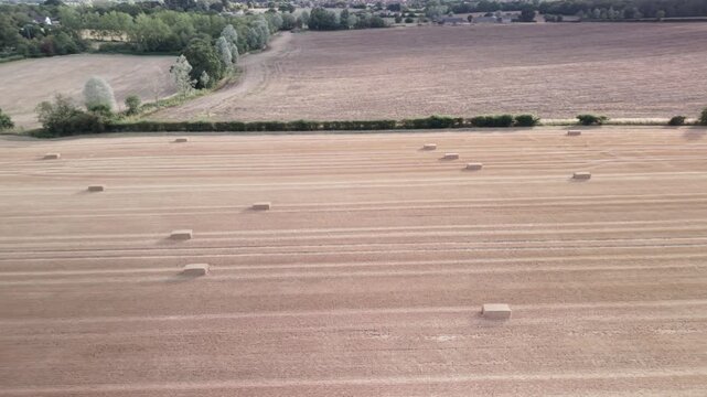 Rectangular Straw Or Hay Bales Rest On Field Stubble After A Grain Harvest, Harvested Agricultural Landscape. Aerial Shot