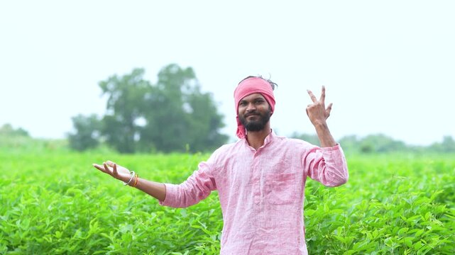 Young indian farmer standing at split pigeon pea agriculture field 