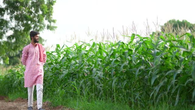 Indian farmer walking at corn agriculture field
