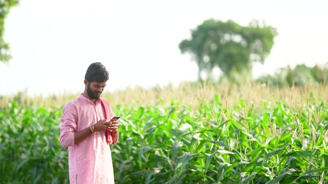indian farmer using smartphone at corn agriculture field