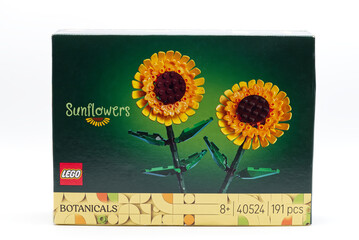 Naklejka premium Bologna - Italy - August 25, 2026: Lego botanical collection sunflowers building toy set box isolated on white background.
