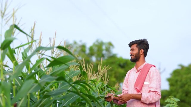 young indian farmer checking corn crop at agriculture field