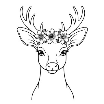 deer head vector illustration