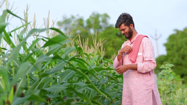young indian farmer checking corn crop at agriculture field