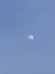 moon © Adlina
