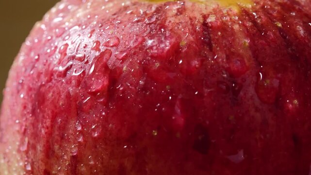 Close-Up of Red Apple Covered with Water Droplets	