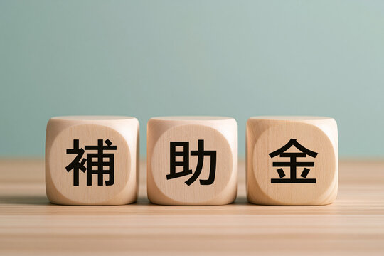 補助金の文字ブロック