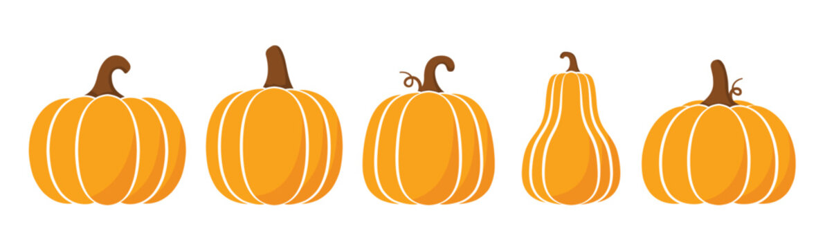 Set of five orange pumpkins for seasonal harvest and autumn decorations
