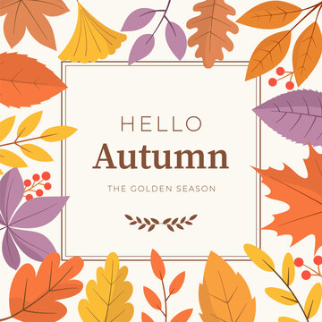 Autumn greeting card with fall leaves and berries frame, copy space for text