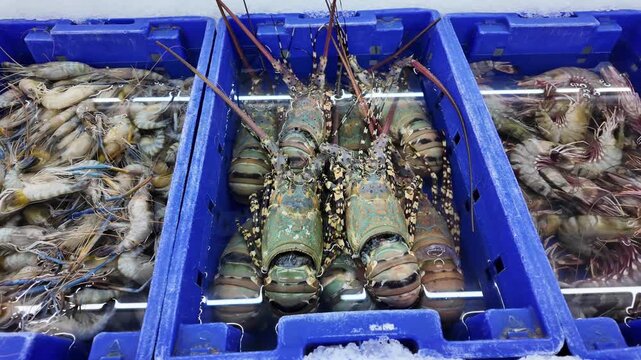 fish market with lobsters and crabs, delicacy, seafood