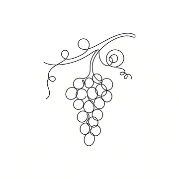 vector illustration of grapes