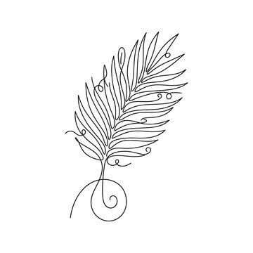 feather vector illustration