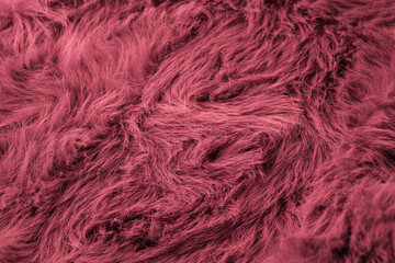Obraz premium Detailed texture of soft dark gray long pile shaggy faux fur material pattern background