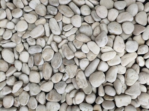 Top View of White Smooth Pebble Stones Background Texture