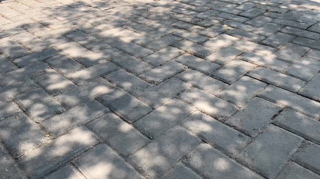 Concrete pavement texture with dynamic dappled sunlight and organic leaf shadow b roll