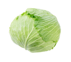 Fototapeta premium Cabbage on a white background