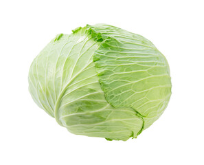 Fototapeta premium Cabbage on a white background