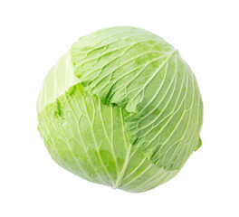 Fototapeta premium Cabbage on a white background