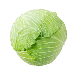 Fototapeta premium Cabbage on a white background