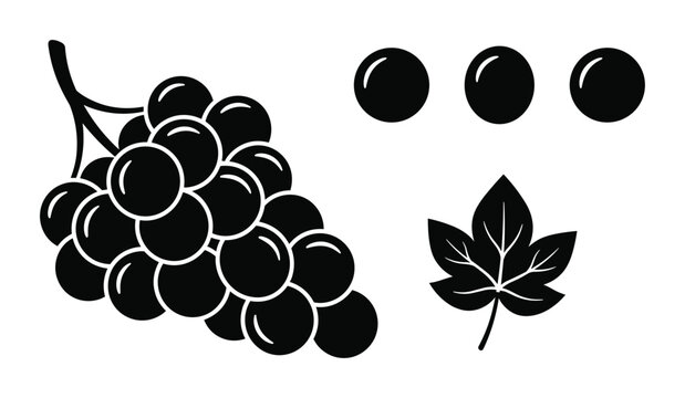 Grapes bunch silhouette with single berries and leaf for food design.