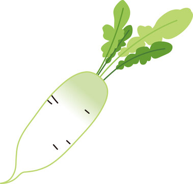 Daikon Radish Vegetable Flat Vector Illustration
