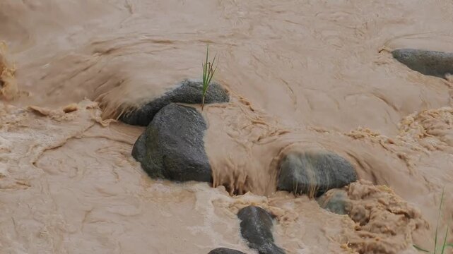 Natural hazards during the rainy season river surges and mudslides rapidly flowing, muddy brown water rushes past dark, scattered rocks weeds and trees within the stream or river.