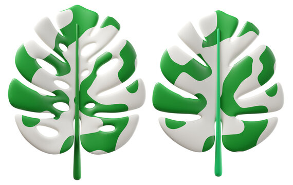 3d cartoon Monstera Alba leaves with white-and-green marbling isolated on background. Botanical element for design.
