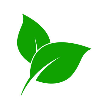 tylized two-leaf botanical logo with curved natural shapes, suitable for organic products, gardening, wellness, environmental branding, and nature-related designs.