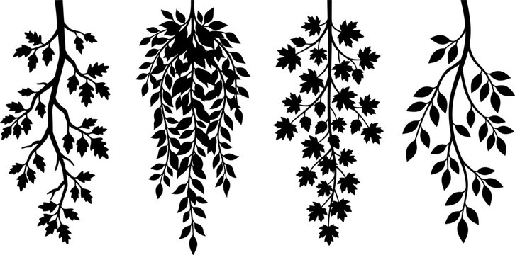 Four hanging tree branches with various leaves silhouettes
